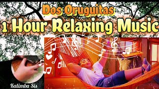 Dos Oruguitas  1 Hour Kalimba Relaxing Music [upl. by Rogovy]