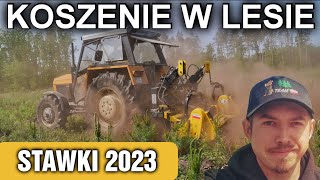 Stawki za koszenie upraw leśnych 2023  Wykaszarka STARTLAS [upl. by Malamud]