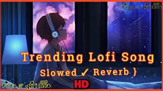 Shod Dia wo Rasta Lofi Song Slowed reverb song trending Lofi Song Night song Lofi [upl. by Aleet676]