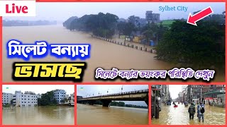 সিলেটে বন্যা পরিস্থিতি ২০২৪  সুনামগঞ্জ সিলেট বন্যায় ডুবছে  sylhet bonna news  sylhet flood 2024 [upl. by Lorilee]