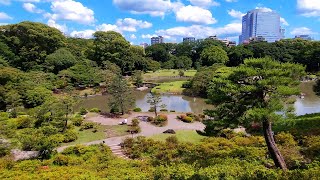 A Sunny Afternoon at Rikugien Gardens  Tokyo [upl. by Macmullin]