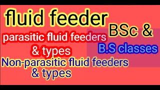 BSc amp BS classes Fluid feeders  parasitic amp nonparasitic fluid feeder along types [upl. by Nerrual452]