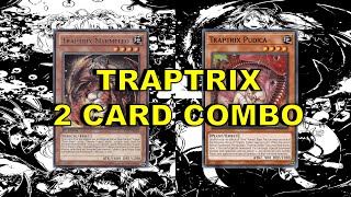 TRAPTRIX 2 CARD COMBO Myrmeleo  Pudica [upl. by Engracia392]