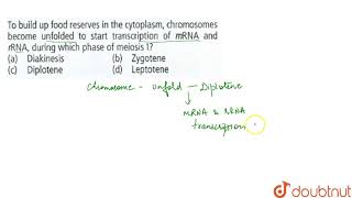 To build up food reserves in the cytoplasm chromosomes become unfolded to start [upl. by Salisbury]