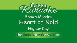 Shawn Mendes  Heart of Gold Karaoke Higher Key [upl. by Cloris]