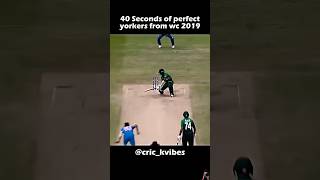 Powerful yorker ✴️ ball 😱 😍 🥳 2019 cricket yorker [upl. by Sekyere]