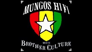 Mungos Hi Fi  Reggae music lover ft Brother Culture [upl. by Anidualc700]