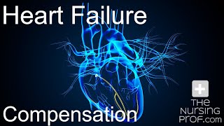 Heart Failure Compensation [upl. by Haek]