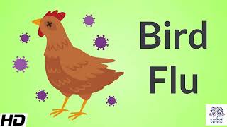 Bird FluAvian Influenza Causes Signs and Symptoms Diagnosis and Treatment [upl. by Legnaesoj776]