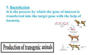 Transgenic animals Video No 470 [upl. by Haropizt]