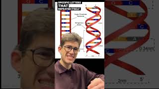 Found GOD’s NAME IN HUMAN DNA😧🤯 shorts dna god bible proof supernatural jesus [upl. by Schwitzer633]