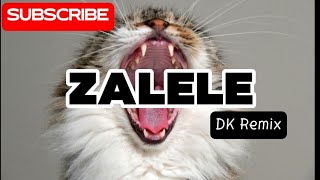 ZALELE DK Remix [upl. by Ethelstan840]