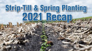 StripTill amp Spring Planting 2021 Recap [upl. by Audy]