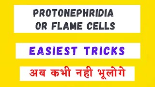 Protonephridia or Flame Cells Tricks  Excretory Strictures [upl. by Alyss]