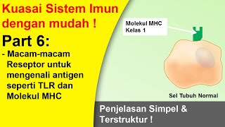 Cara sistem imun non spesifik internal mengenali patogen dan sel tubuh yang terinfeksi [upl. by Anilek]