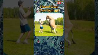 I found Crezy Caw Fight on Google Earth and Google maps shorts viralvideo 😱 [upl. by Welbie]