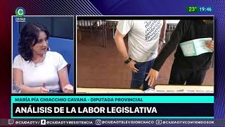 ANÁLISIS DE LA LABOR LEGISLATIVO [upl. by Towney]