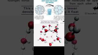 Why Does Water Expand When It Freezes  The Unique Story of Hydrogen Bonding  VigyanSarathi [upl. by Rigby287]