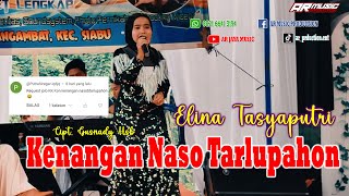 KENANGAN NASO TARLUPAHON  ELINA TASYAPUTRI Cipt Gusnady HSB [upl. by Schwerin]