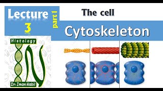 3aCytoskeleton part1CellHistology [upl. by Windy496]