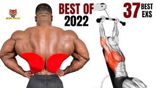 37 BEST BACK EXERCISES TO GET BIGGER BACK FAST  MUSCULATION DOS RÉSULTAT RAPIDE [upl. by Joete]