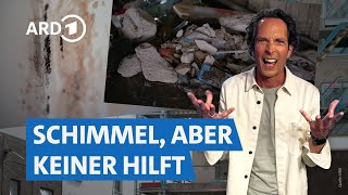 Mieten und Bauen Herausforderungen auf dem Wohnungsmarkt  Die Tricks… NDR amp SWR [upl. by Rramed]