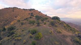 FPV Panul  Cerro Santa Rosa Mayo 2024 [upl. by Frisse]