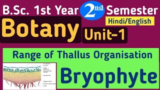 Range of Thallus OrganisationRange of thallus organisation in BryophytesBSc 1st Year 2nd Semester [upl. by Cerelia]