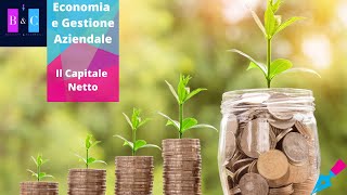 Economia e Gestione Aziendale 06  Il Capitale Netto [upl. by Hallett]