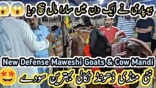 New Mandi In Defense Kala Pul Goats amp Cow PricesMaweshi Mandi June 6 2024B4birds [upl. by Leribag822]