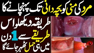 1 Din Mein Hamal Tehrane Ka Tarika In Urdu  How To Send Semon In Uterus  Online Islamic Tutor [upl. by Krystalle]