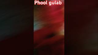 Phool gulab kahindisong shortvideo [upl. by Aitnic]