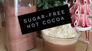 It’s Hot Cocoa Season  Easy Sugar Free Hot Cocoa Recipe  Only 1 WW Point per serving [upl. by Cathyleen157]