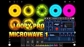 LOOPY PRO  Audio Session Building with Waldorf Microwave 1  Demo for the iPad [upl. by Kerry]