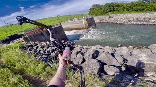 BOWFISHING A SMALL DAM [upl. by Jenna]