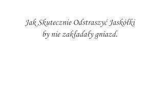 Jak odstraszyć jaskółki  Sprawdzony sposób który działa [upl. by Airehc]