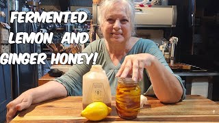 Fermented LemonGinger Honey Easy [upl. by Yeaton]