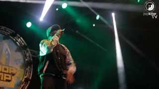 KRSOne  MCs Act Like They Dont Know Hip Hop Kemp 2014 Popkillerpl [upl. by Dleifyar]