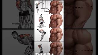 🥵Arms Workout ✅🏋️armsworkout workout gym fitness shoulderworkout shorts viralvideo trending [upl. by Flss]