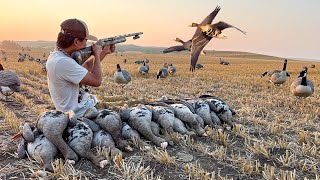 Our Best Early Season Specklebelly Goose Hunt Yet LIMITED OUT [upl. by Erma]