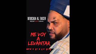 Dedicada al Taiger ¡Me Voy a Levantar [upl. by Pace]