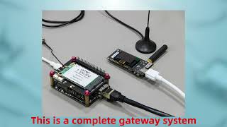 Application example based on LILYGO TETHElite Base and TSX302 LoRaWAN Gateway Shield [upl. by Melburn]