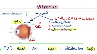 Vitreous [upl. by Montague]