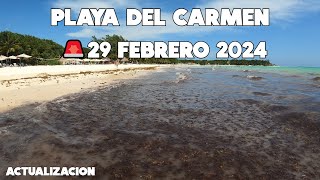 PLAYA DEL CARMEN AL MOMENTO 29 FEBRERO🔴TE MUESTRO LA PLAYA HOY [upl. by Durkee]