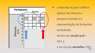 Os simbolos do partograma  partogramasedistocias [upl. by Yerxa]