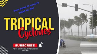 The Formation of Tropical Cyclones [upl. by Ybrad314]