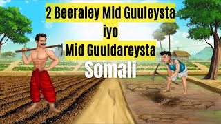 Sheeko gaban2 Beeraley Mid Guuleysta Mid Guuldareysta [upl. by Arul635]