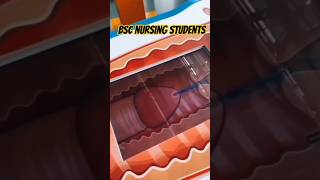 Bsc Nursing Students life 😱😱 gnm nursing course youtubeshorts trendingshorts ytshorts shorts [upl. by Naruq]