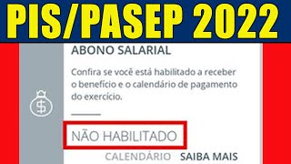 PISPASEP 2022 NÃO HABILITADO O QUE FAZER PARA RECEBER O ABONO SALARIAL 2022 COMO CONSULTAR O PIS [upl. by Airtal]