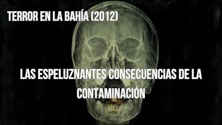 El siniestro mecanismo de defensa de la naturaleza  Isópodos mutantes  Terror en la bahía 2012 [upl. by Naik]